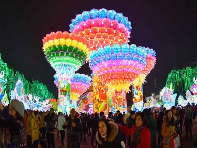 自贡彩灯第六次闪耀美国 灯会持续到明年1月30日